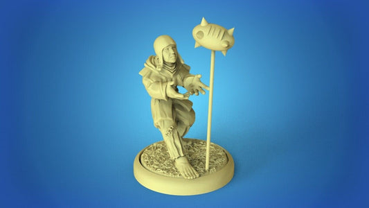 Human knights Fantasy Football Team - Calaverd3D