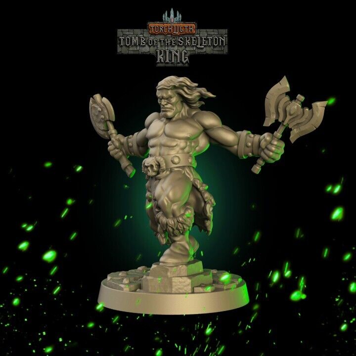 Fantasy Dungeons Barbarian Hero -