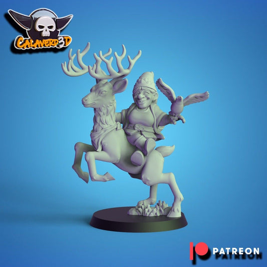 Female Gnome Fantasy Football proxy star player Calaverd