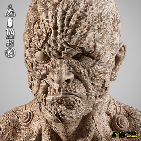 Darth Sion Star Wars themed 3D Bust Sculpture by SW3D