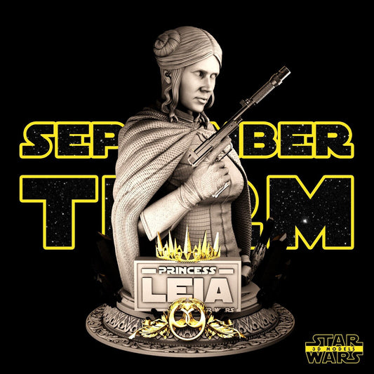 Princess Leia Star Wars themed 3D Bust Sculpture by SW3D