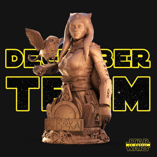 Ahsoka Star Wars themed 3D Bust Sculpture by SW3D