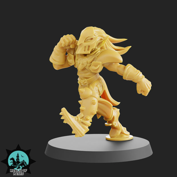 Elven Union Elf "The Birds" Fantasy Football Team - Realm Of Paths