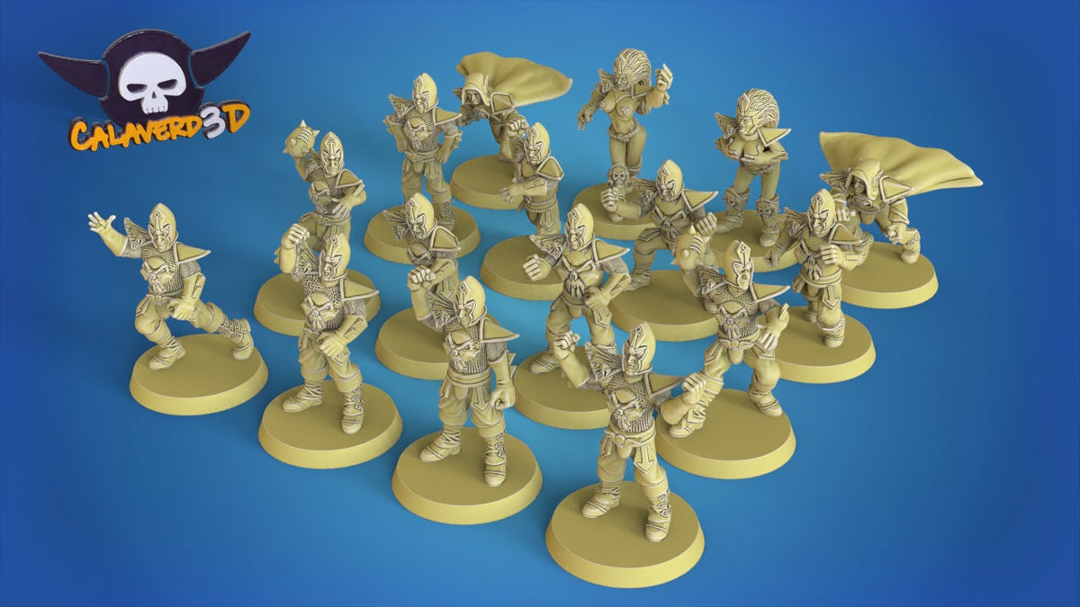 Dark Elves Fantasy Football team - Calaverd