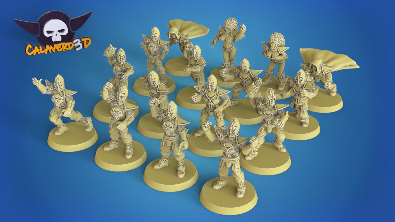 Dark Elves Fantasy Football team - Calaverd