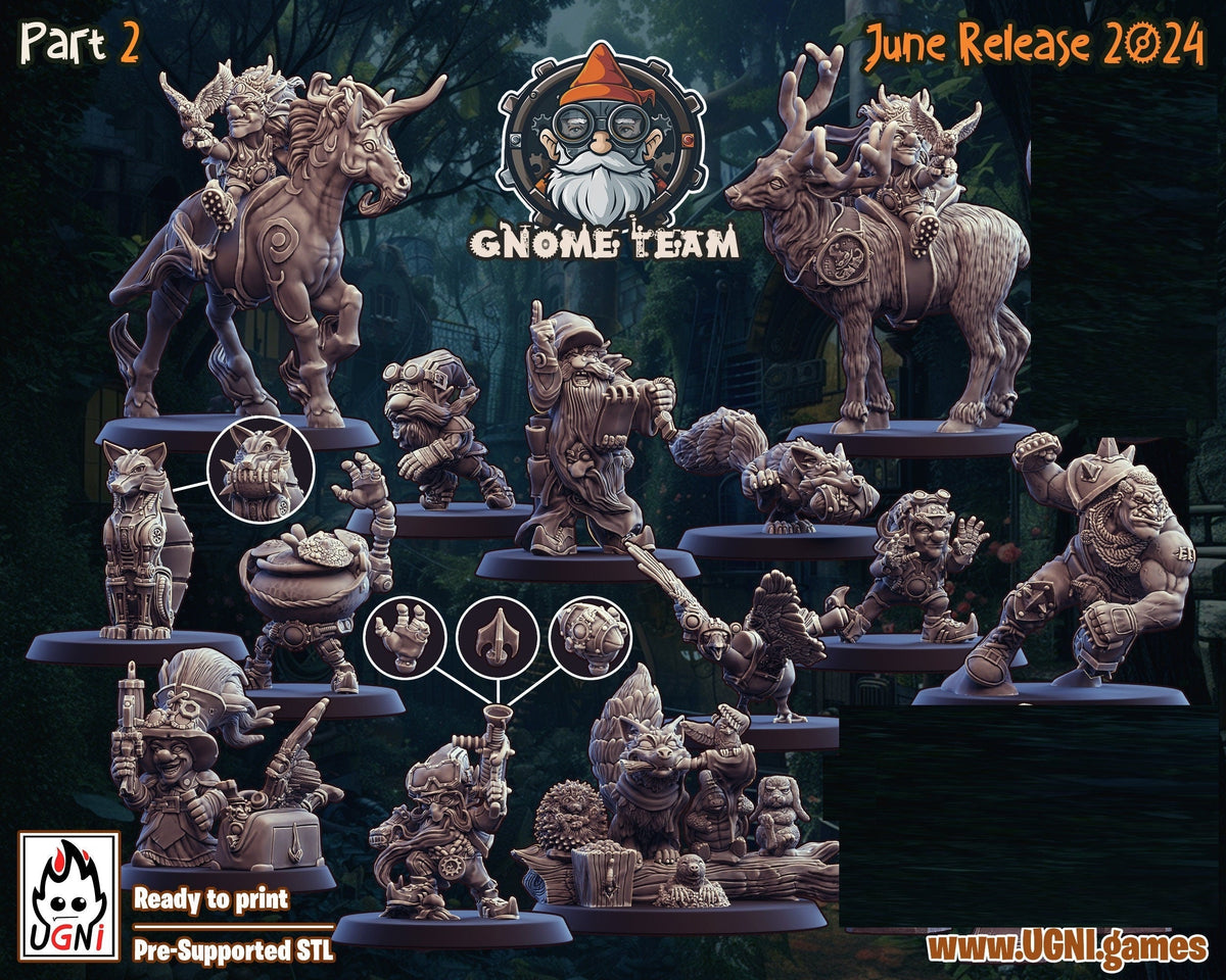 Part 2 Gnome Fantasy Football Team