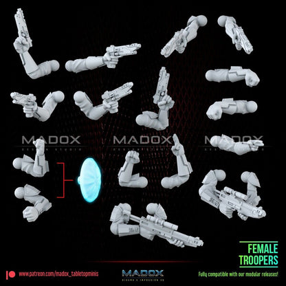 10 Mandalorian Commandos Star Wars Legion RPG Shatterpoint compatible War Bear