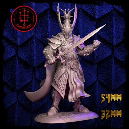 Elf warrior Lord / Prince  - Torchlight TLM The First Avenger 32mm / 54mm