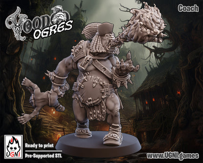 Ogre/Snots Apothecary, Coach & Cheerleader - Support Staff Fantasy Football UGNI