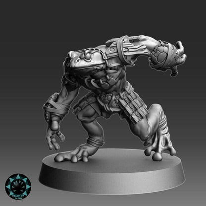 Slan compatible ‘Frog' Fantasy Football Team  - ROP