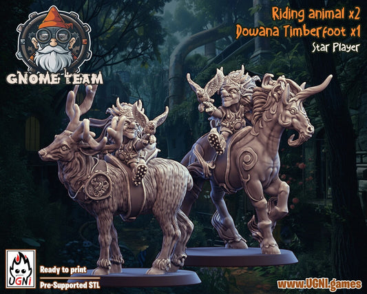 Dowana Timberfoot Gnome Star Player - Fantasy Football team