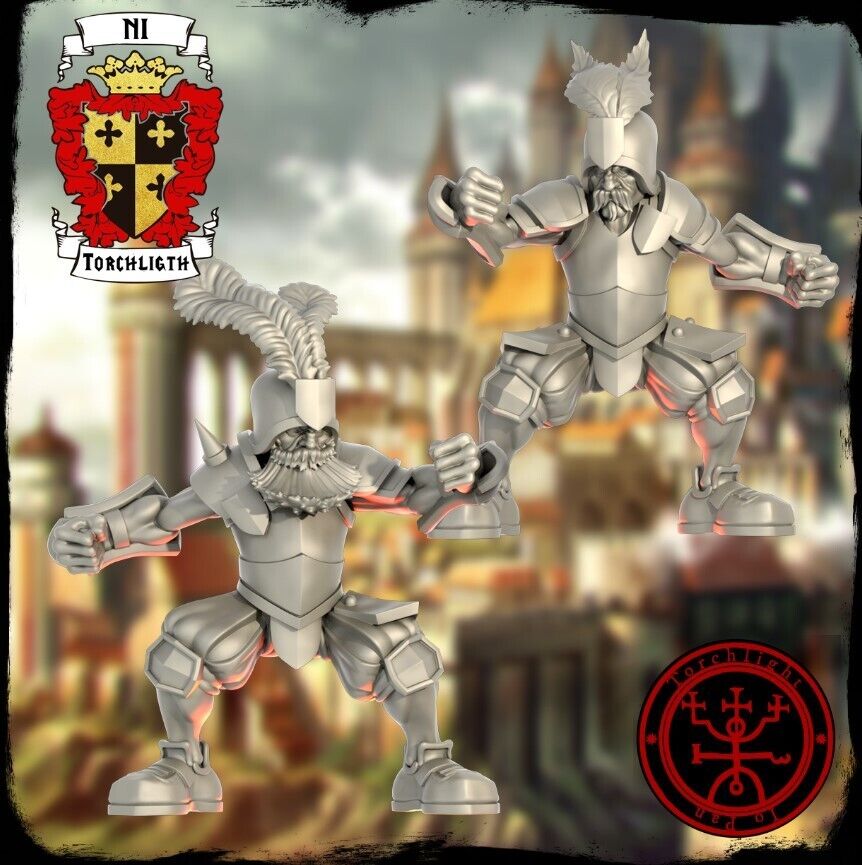 Imperial Nobility Fantasy Football Team - Torchlight TLM The Noble Knights of Ni