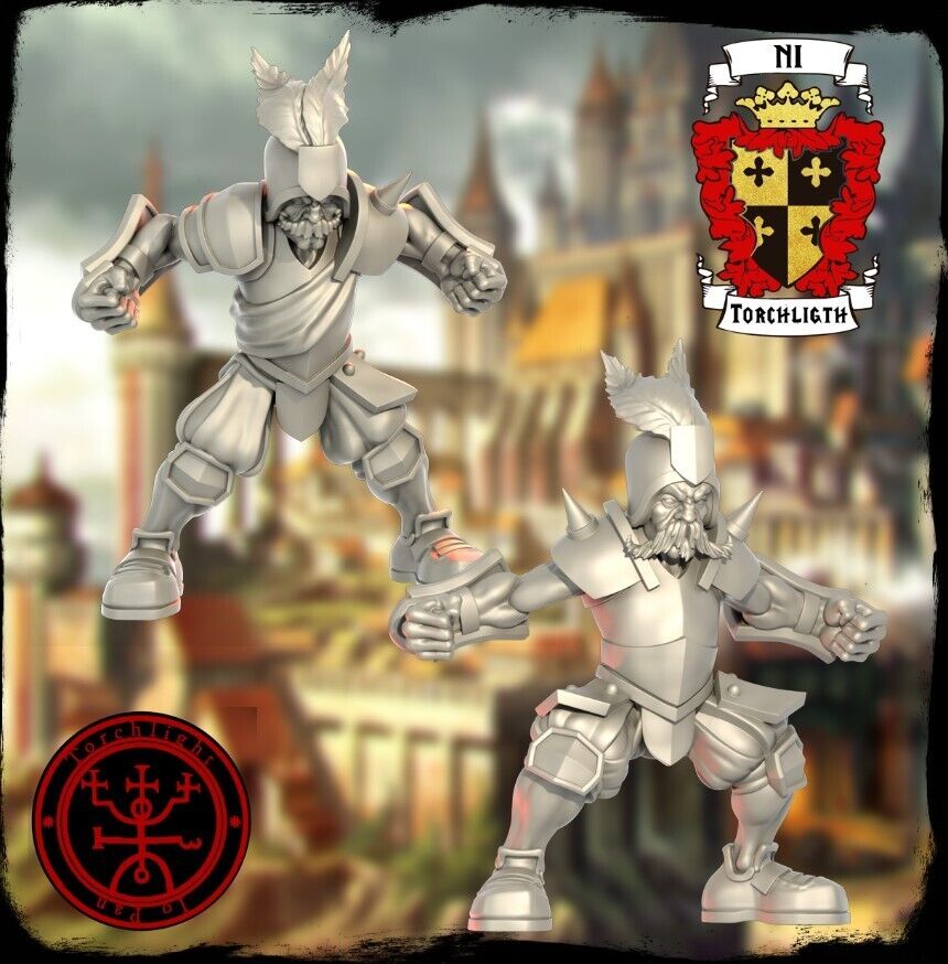 Imperial Nobility Fantasy Football Team - Torchlight TLM The Noble Knights of Ni