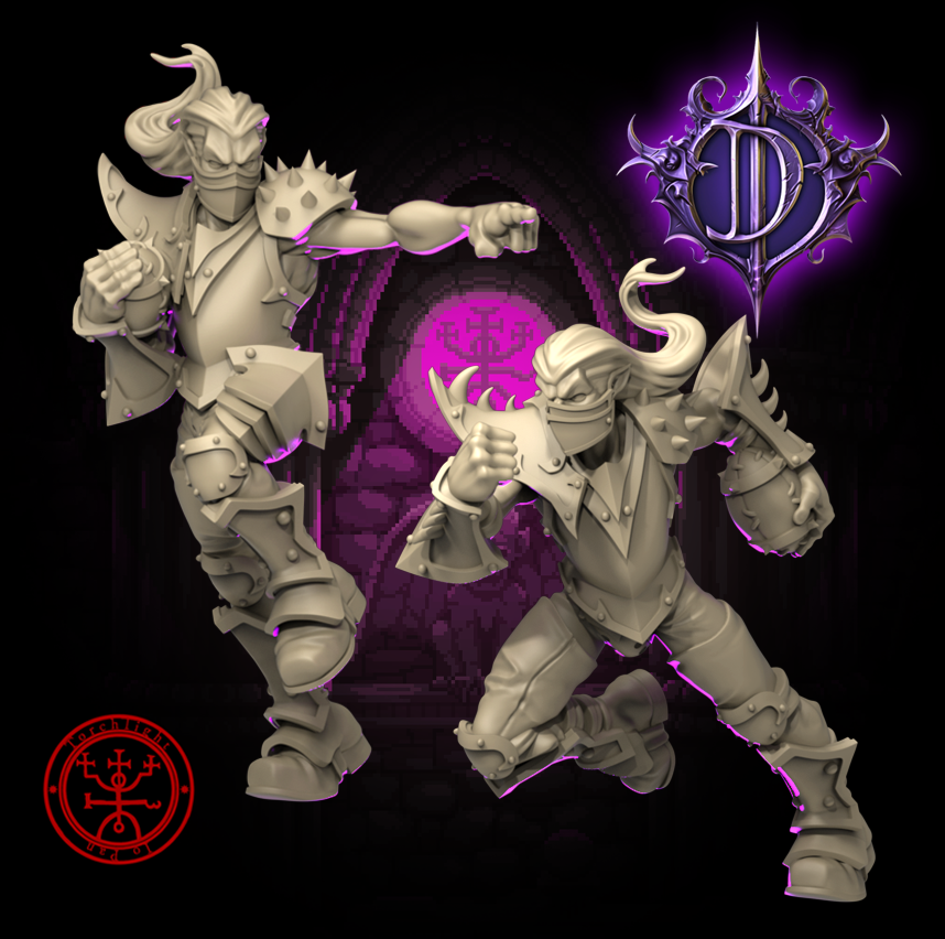 Dark Elves / Elf 'The Dark Daggers' Fantasy Football Team Torchlight TLM