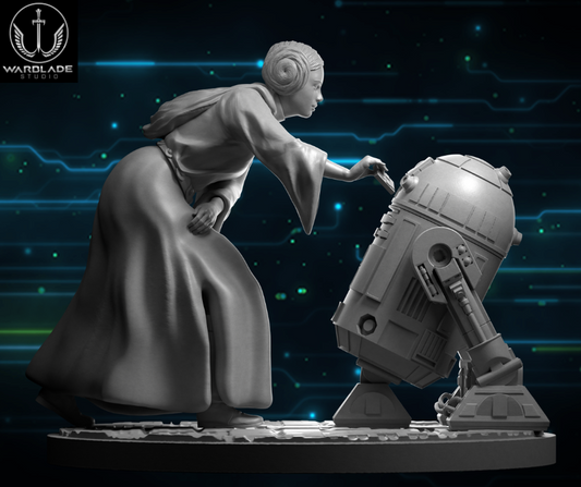 Leia and R2D2proxy - Star Wars RPG Legion Shatterpoint compatible Warblade
