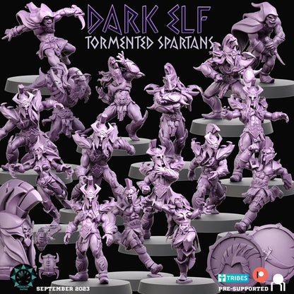 Dark Elves ‘The Tormented Spartans' Fantasy Football Team  - ROP
