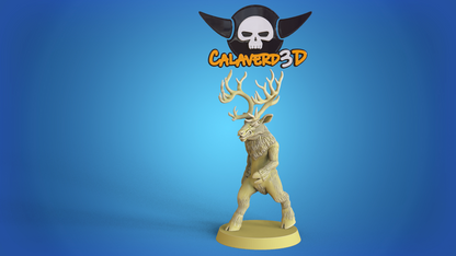 Xmas Fantasy Football Team  - Calaverd