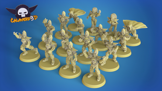 Dark Elves /  Dark Elf Fantasy Football Team  - Calaverd