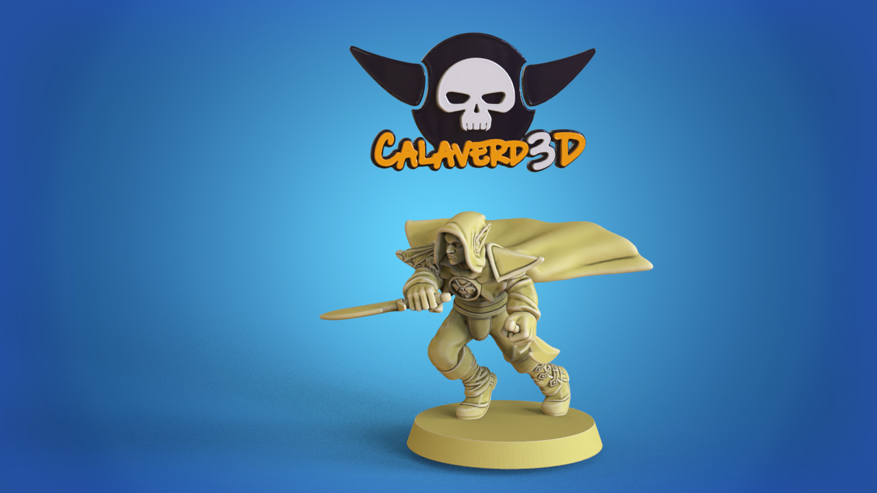 Dark Elves /  Dark Elf Fantasy Football Team  - Calaverd