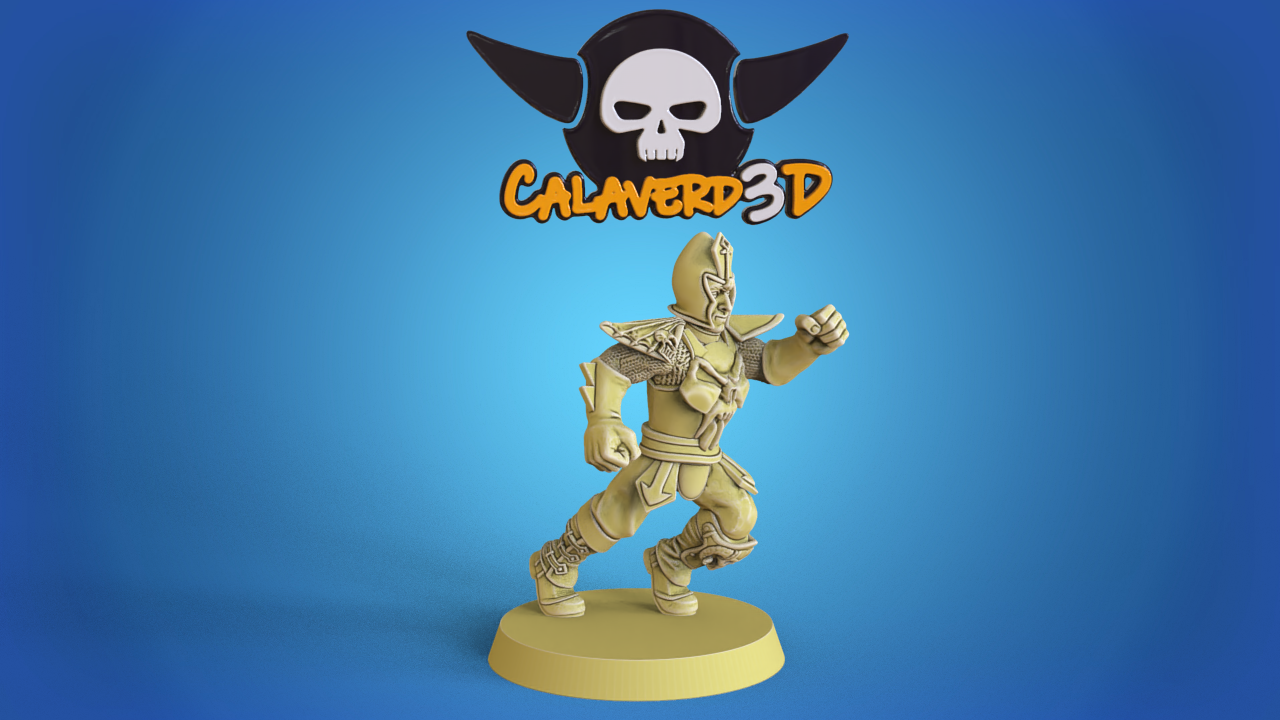 Dark Elves /  Dark Elf Fantasy Football Team  - Calaverd3D