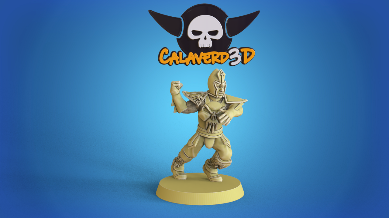 Dark Elves /  Dark Elf Fantasy Football Team  - Calaverd3D