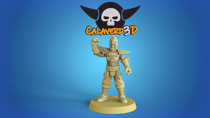 Dark Elves /  Dark Elf Fantasy Football Team  - Calaverd3D