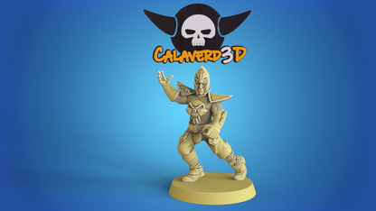 Dark Elves /  Dark Elf Fantasy Football Team  - Calaverd3D