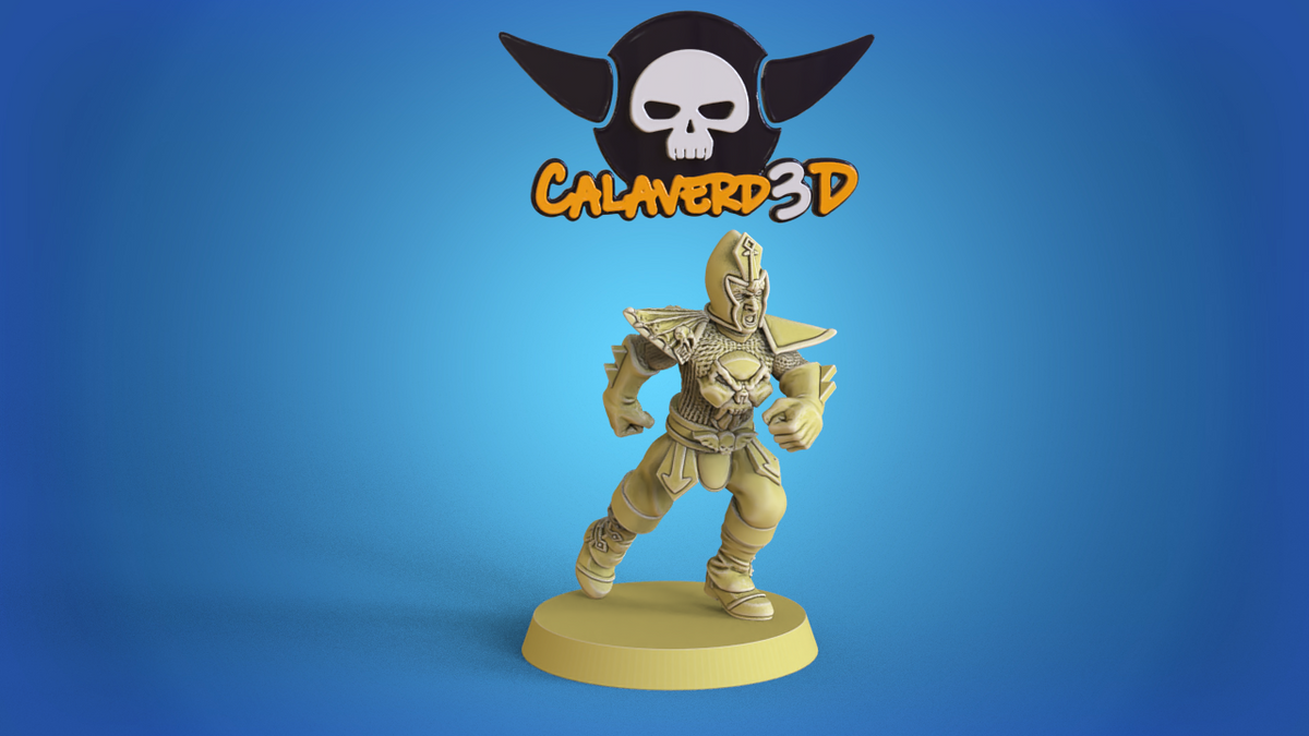 Dark Elves /  Dark Elf Fantasy Football Team  - Calaverd