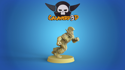 Elven Union / High Elf Fantasy Football Team  - Calaverd