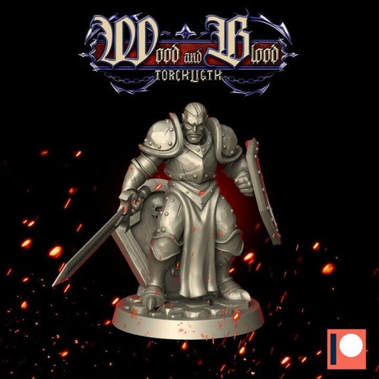 Fantasy Dungeons Paladin -