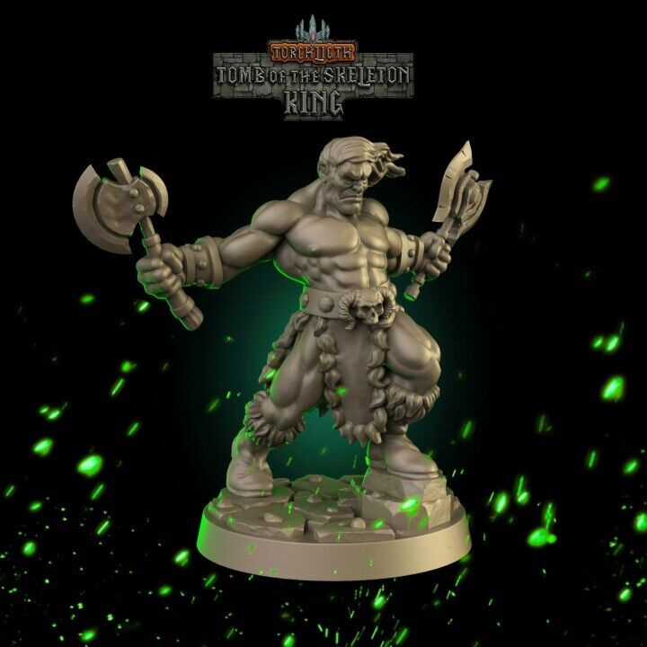 Fantasy Dungeons Barbarian Hero -