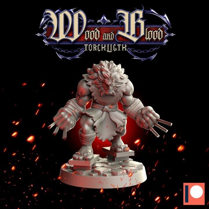 Fantasy Dungeons Druid -