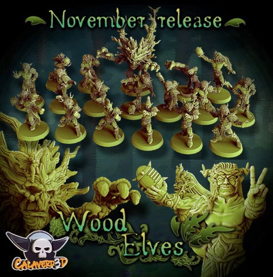 Wood Elf Fantasy Football Team  - Calaverd3D