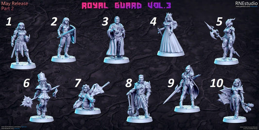 JRPG / Sci Fi / Cyber Punk - RN Estudio Royal Guard miniatures