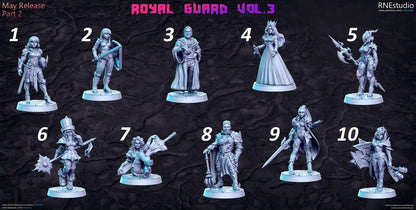 JRPG / Sci Fi / Cyber Punk - RN Estudio Royal Guard miniatures