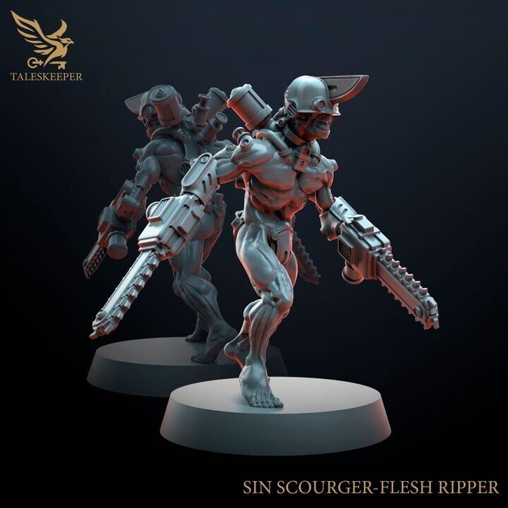 SIN SCOURGERS proxy Grimdark , OPR , Sci-Fi, Fantasy wargames TalesKeeper