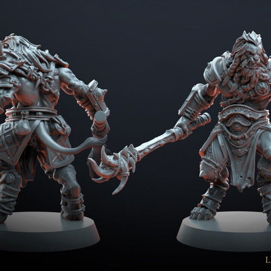 LIONTARI CHIEF proxy Grimdark , OPR , Sci-Fi, Fantasy wargames TalesKeeper