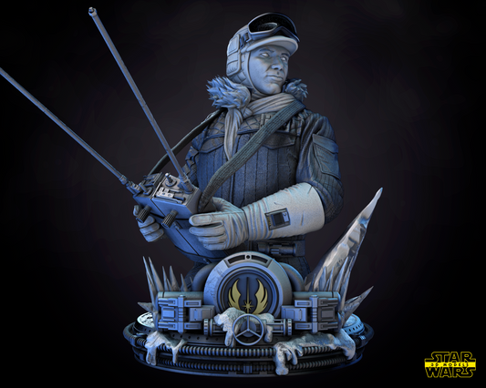 Han Solo Snow (Hoth) Star Wars themed 3D Bust Sculpture by SW3D