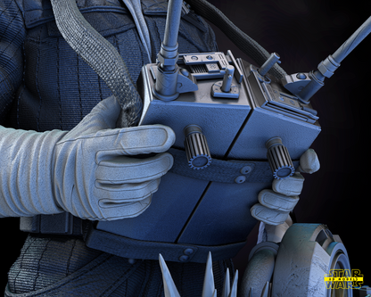 Han Solo Snow (Hoth) Star Wars themed 3D Bust Sculpture by SW3D