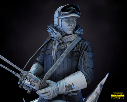 Han Solo Snow (Hoth) Star Wars themed 3D Bust Sculpture by SW3D