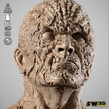 Darth Sion Star Wars themed 3D Bust Sculpture by SW3D