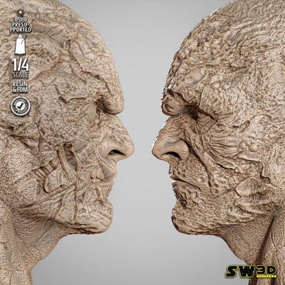 Darth Sion Star Wars themed 3D Bust Sculpture by SW3D