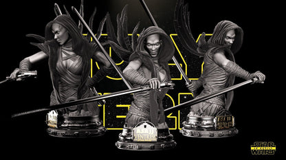 Asajj Ventress Star Wars themed 3D Bust Sculpture by SW3D