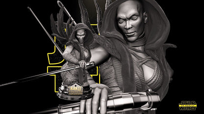 Asajj Ventress Star Wars themed 3D Bust Sculpture by SW3D