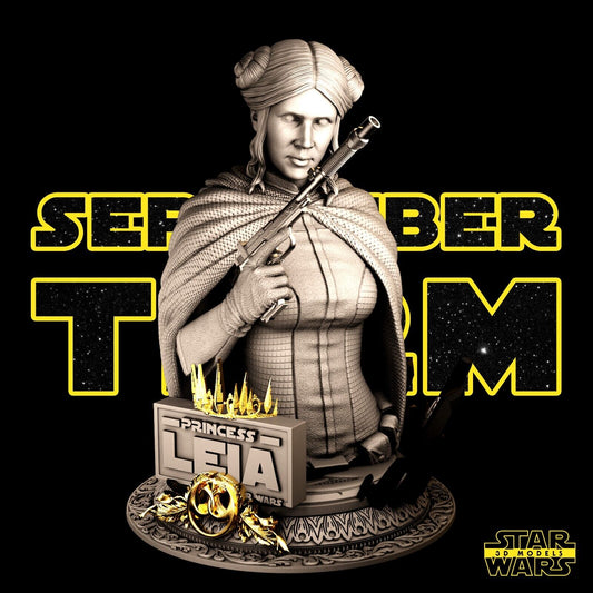 Princess Leia Star Wars themed 3D Bust Sculpture by SW3D