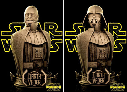 Darth Vader Star Wars themed 3D Bust Sculpture by SW3D