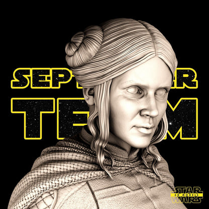 Princess Leia Star Wars themed 3D Bust Sculpture by SW3D