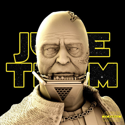 Darth Vader Star Wars themed 3D Bust Sculpture by SW3D