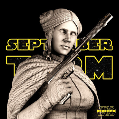 Princess Leia Star Wars themed 3D Bust Sculpture by SW3D