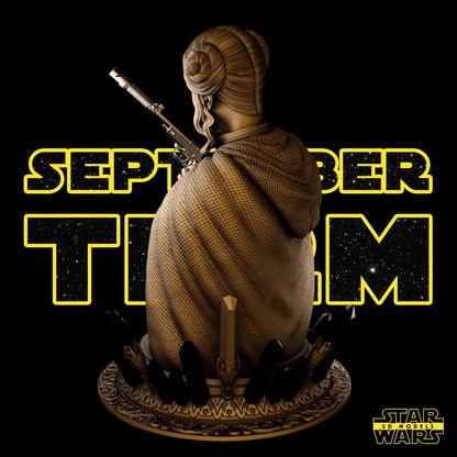 Princess Leia Star Wars themed 3D Bust Sculpture by SW3D